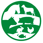 06